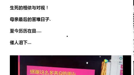 吉斯林：最后的日子 2024,2024年最后的日子，见证历史转折点